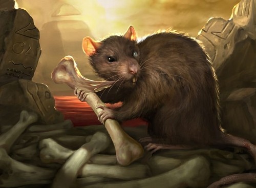 Rat cards with rares lot - 20,