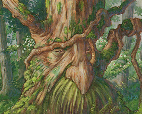 Treefolk lot with rares - 50,
